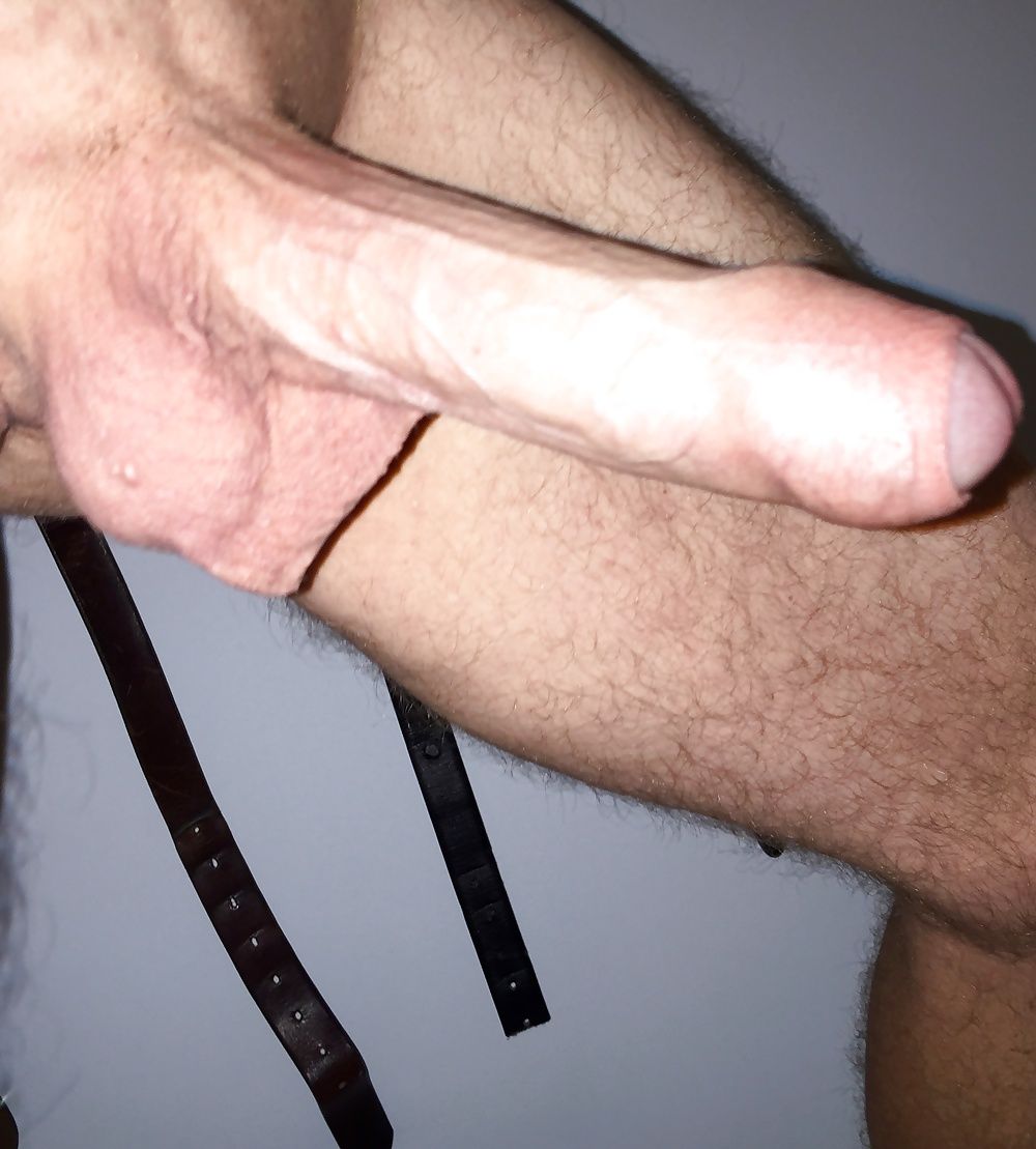 Cock from every angle  #45