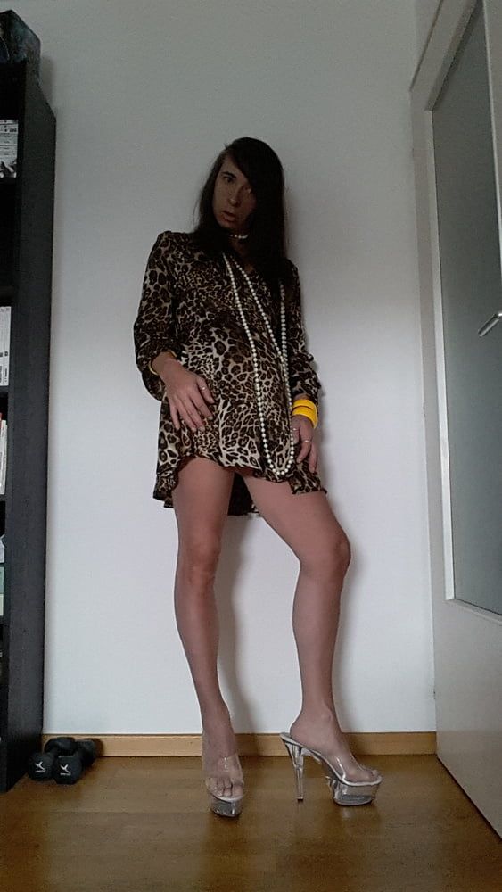 Tygra in her new leopard dress. #4