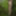 Wanking in the woods #3