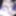 Tango Miya white with Live cam Show in Night #4