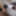 Nerd stepsis wanna play adult games with creampie ending #20