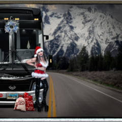 طريق أميلي هوليداي 2