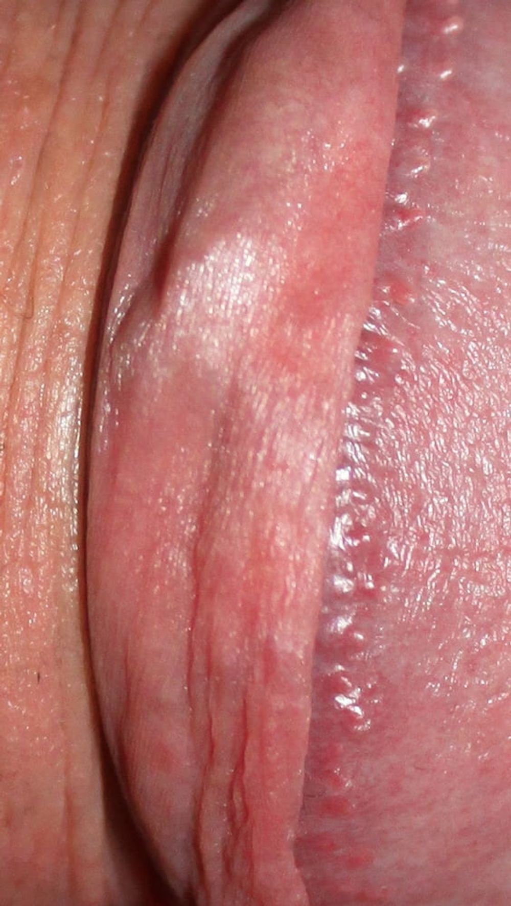 Close up dick #30