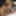 Latina swinger Angel is blowing a geek