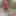 Crossdess Road Trip Red Dress follow the river