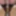 Mandatory weighing cagecheck plugcheck November 01, 2023 #5