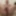 Mandatory weighing cagecheck plugcheck Oktober 23, 2023