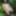Cute teen Lolly posing nude in the tree #11