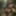 Amazon warrior women, full nude, squat, wide legs open