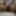 My personal pictures