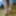 legs and poses