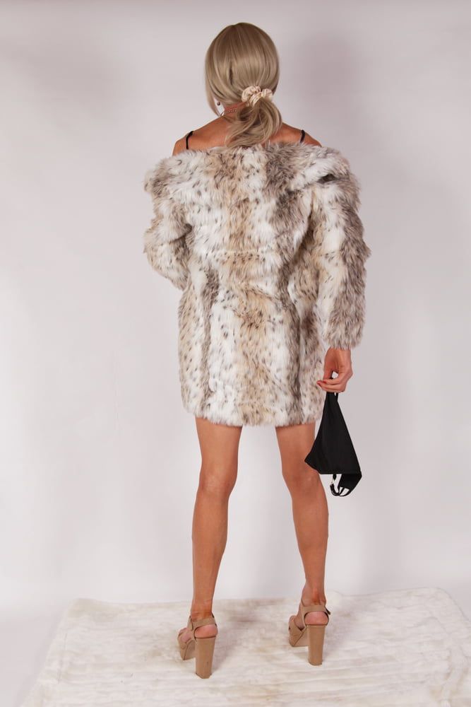 9 Alessia Models Velvet Blue Dress & Fur Coat #7