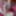 Hello Kitty Bed #10