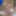 closeup outdoor cumshot 