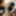 Mio Futaba :: One More Night In Hotel - CARIBBEANCOM #8