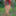 Redhead Outdoors Strips Jeans Off Wearing Pantyhose #40