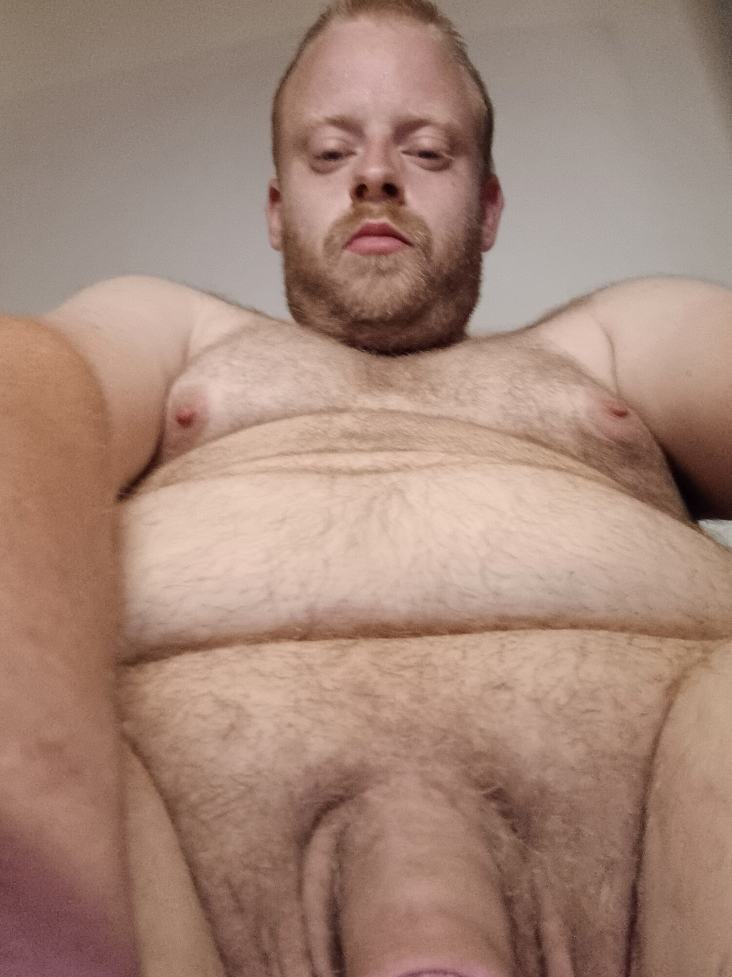 Bear  #3