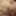 Lily Leigh's Intimate Playtime #6 (Part 1 of 2) #11