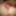 Hot Photos