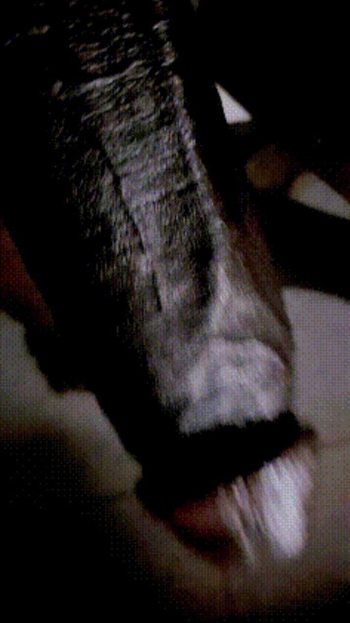 Digging tool 🔧  #14