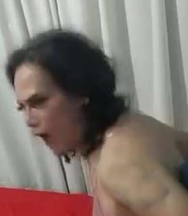 URGENTE gatita en celo,se solicita  Macho en brama