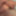 コック