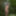 Wanking in the woods #13