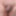 勃起も脱毛もしない私の豊かなペニス - 01