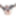 Test Gallery #45