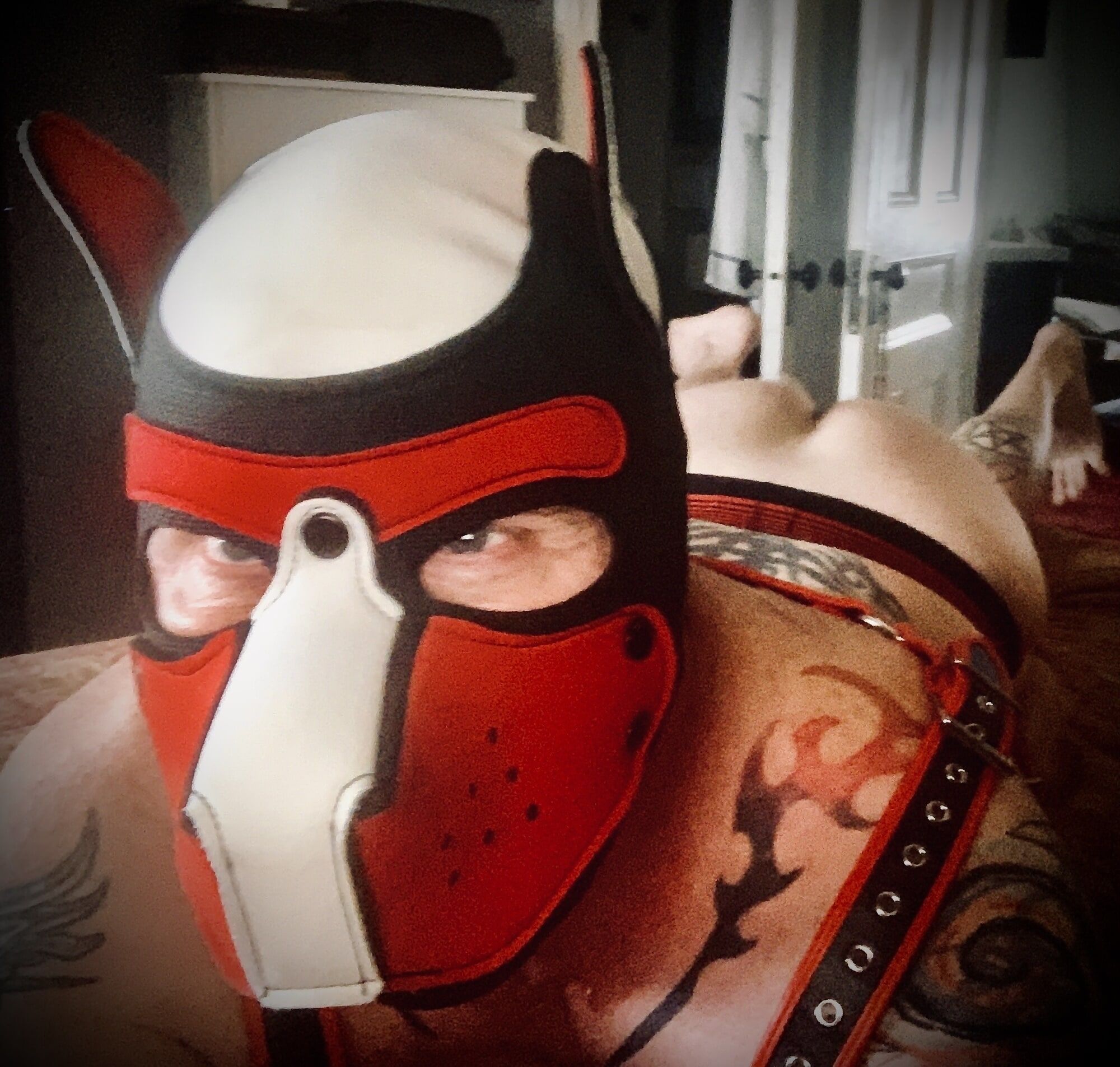 Sub pup yearning  for an Alpha #2
