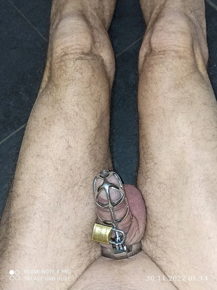 mandatory weighing and cagecheck of 30.11.23 #2