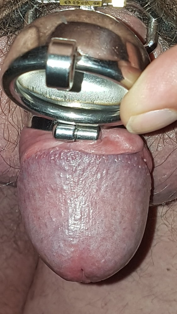 Chastity cage #18