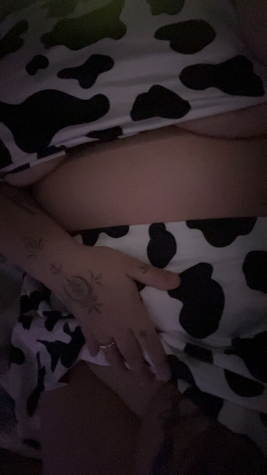 moo moo moo #5