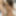 Shino Aoi :: Surrender Of Mature OL- CARIBBEANCOM #6