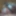 weighing, cagecheck, nippletorture of 05.02.2023 #6