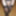 Penis in pantyhose