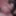 Sneek a peek
