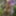 Amateur nude on nature
