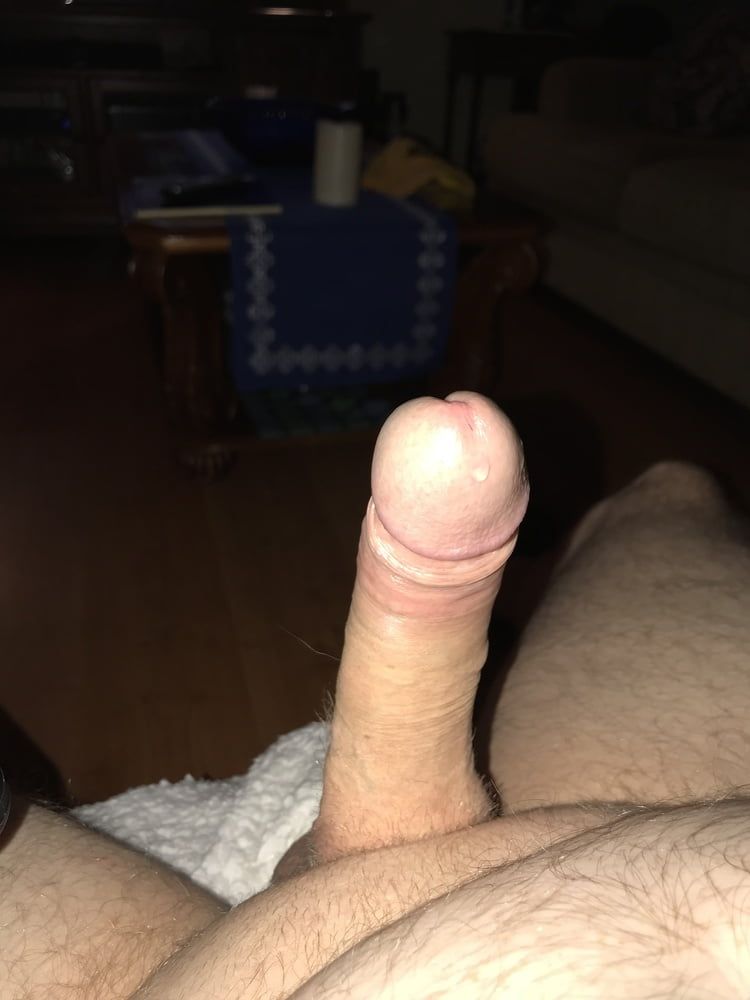 Cock #17