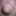 Mellissa&#039;s sexy little clit. #4
