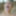 Beach fuck with face cum shower