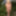 Photo shooting with cum slut Dany Sun in the garden #18