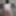 Amateur Fat Chub Chubby Hairless Chest Big Belly