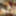 little glimpse of what you will see  #14