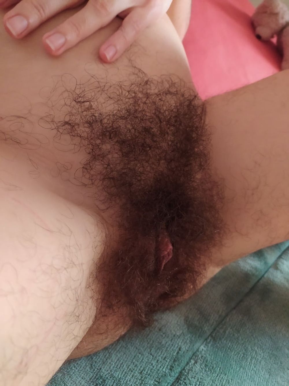 hairy #41