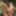 DeluxeDivas.com - Live Chat - Nikki Hunter