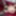 GROOBYGIRLS: Introducing Sadie Stars #4