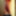 foxdude11 nude collage #7