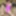 Pink TYR Swimsuit