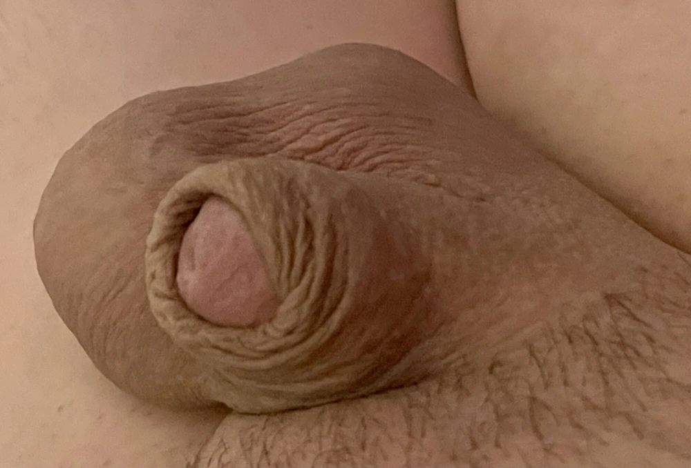 Small cock man pussy little bitch #4